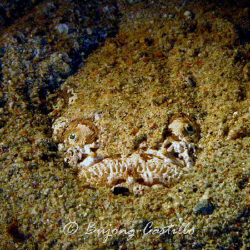 Stargazing - Taken at Sabang Wrecks dive site in Puerto G... by Arthur Castillo 